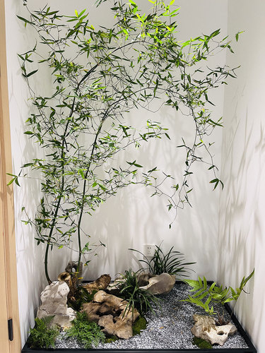图片-3(2).jpg