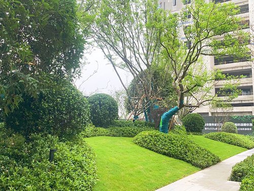 图片-14(4).jpg
