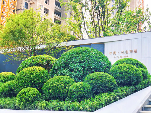 图片-12(5).jpg