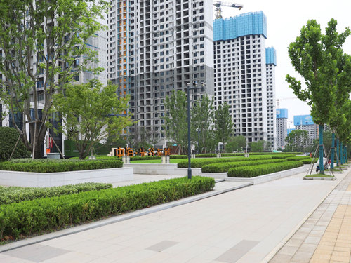 图片-11(5).jpg