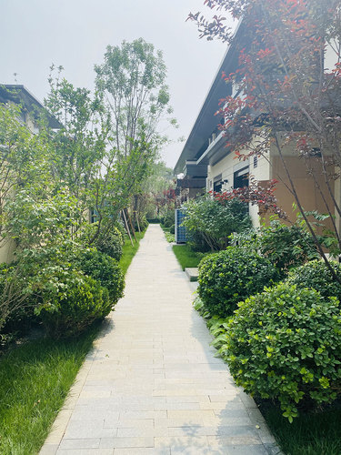 图片-5(5).jpg