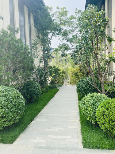 图片-3(5).jpg