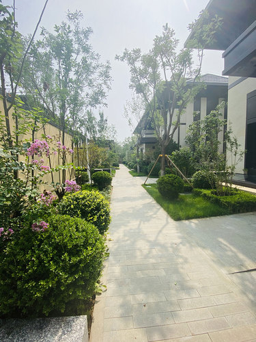 图片-2(5).jpg