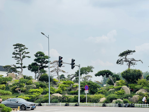 图片-19(3).jpg