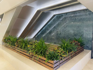 植物组合