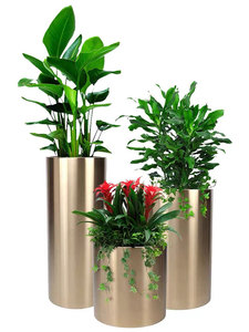 植物组合