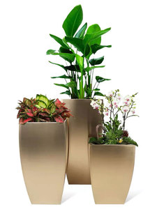 植物组合