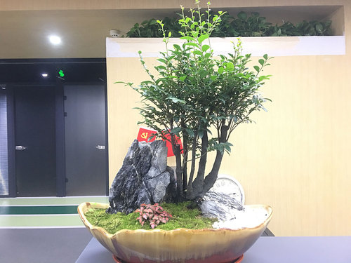 图片-8(1).jpg