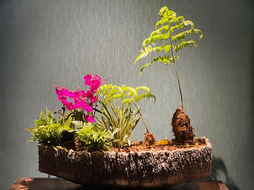 图片-15(1).jpg