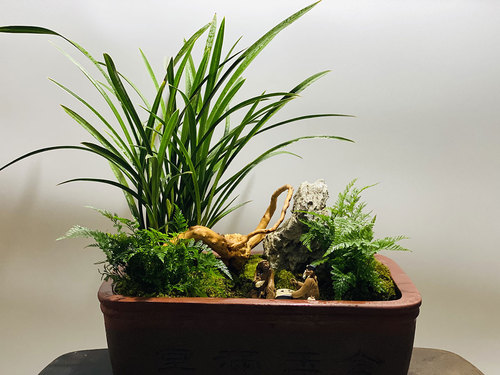 图片-13(1).jpg
