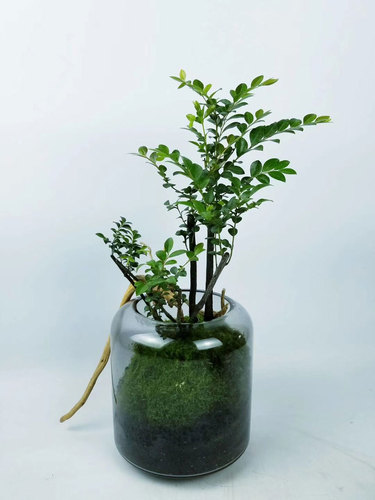 图片-3(1).jpg
