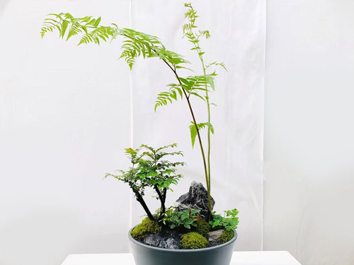 图片-20(1).jpg