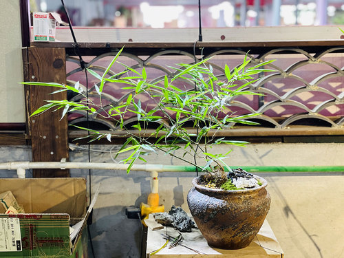 图片-22(1).jpg